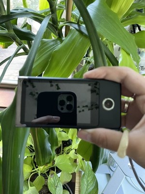 Fotos del artículo de un comprador verificado