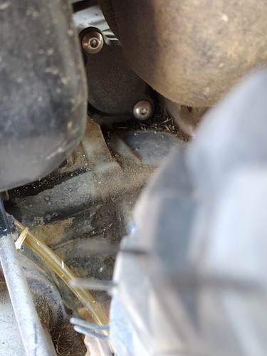 Fotos del artículo de un comprador verificado