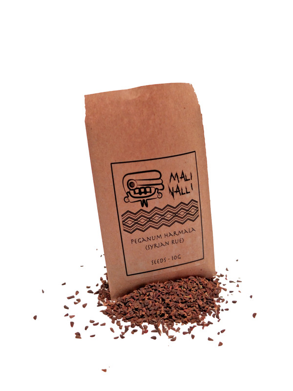 Malinalli (Syr Ische Steppen Raute, Syr Ian Rue)