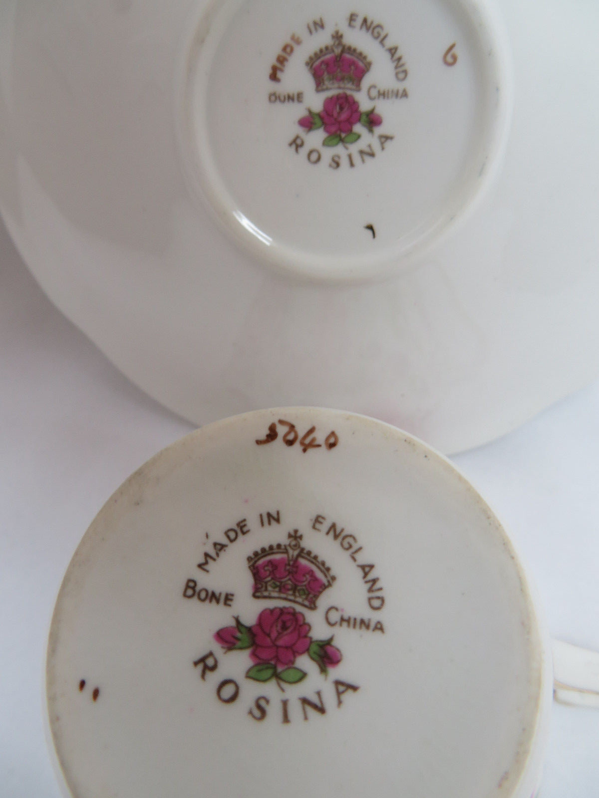 Rosina Rose Bone China England Chintz Tea Cup and Saucer