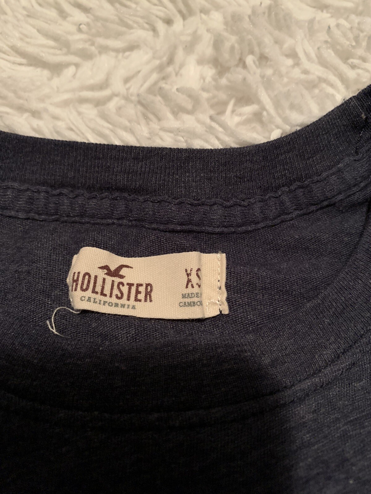 hollister xs