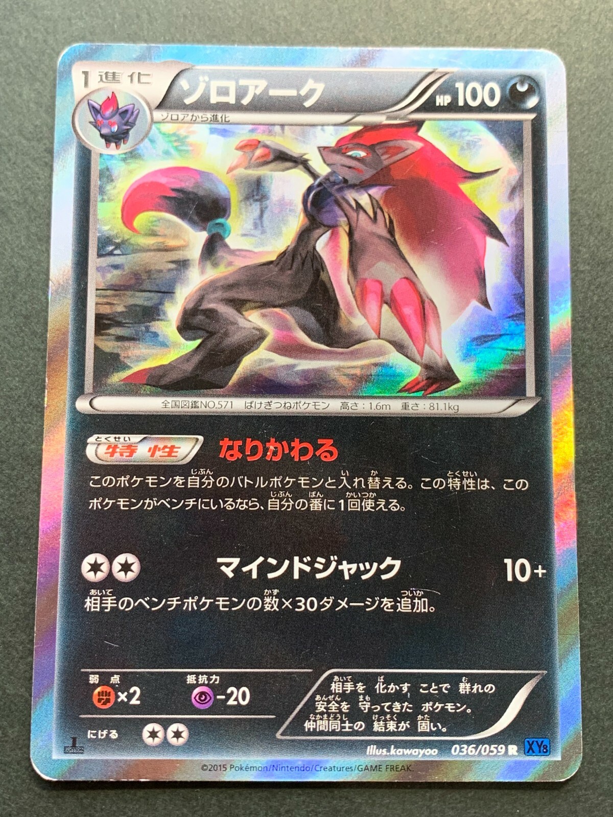 任天堂 - RE1☆様 Pokemon card Zoroark 036/059 R 1st 2015 Pokémon TCG Japanese