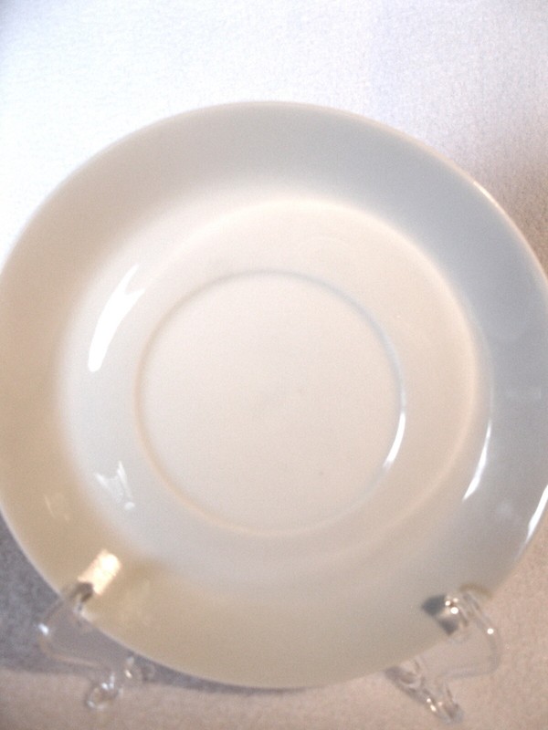 ROSENTHAL Fine Bone China~ Beautiful  Pristine White Teacup and Saucer ~GERMANY