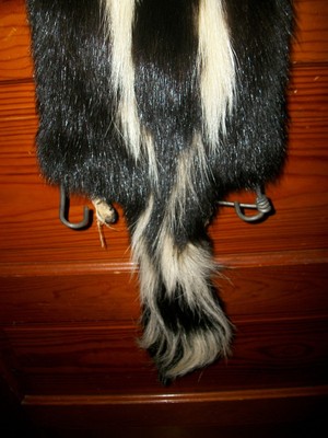 BEAUTIFUL tanned SKUNK 4 FEET CLAWS FUR PELT TAXIDERMY mount NO SMELL S8 cabin