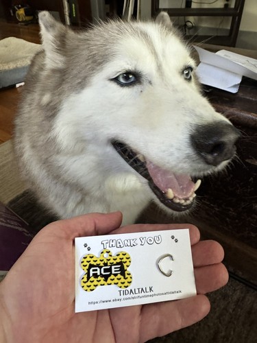 Fotos del artículo de un comprador verificado