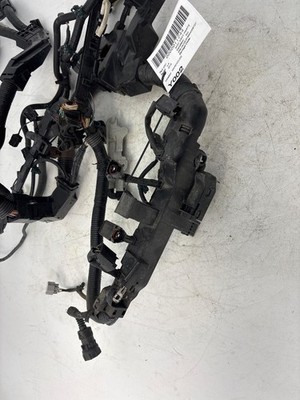 Picture 4