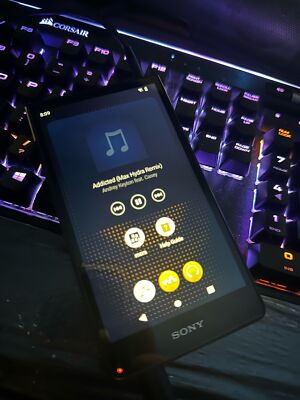 SONY WALKMAN NW-ZX707 64GB ZX Series Hi-Res Audio Player