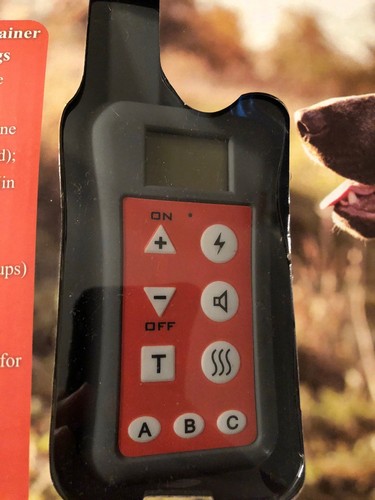 EASYPET 1200 Meter Remote Waterproof Rechargeable 3- Dog Training Shock Collars