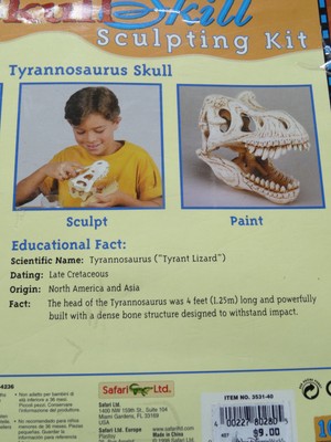 SAFARI LTD<>SKULL SKILL SCULPTING KIT<>