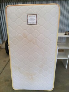 king parrot cot mattress