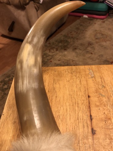 Vintage Maui Paniolo Estate Steer Horn Mount