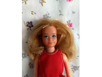 mattel growing up skipper