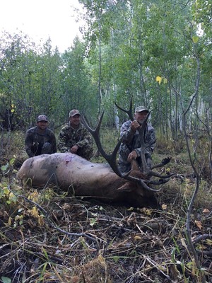 hunting unlimited 20013
