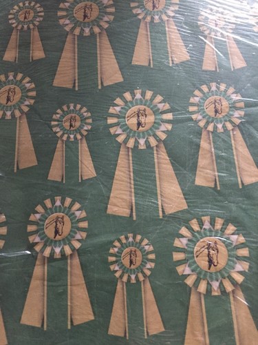 Karen Foster Designs Show Ribbons Scrapbook Paper Bulk