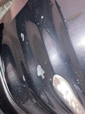 image 10 of exterior