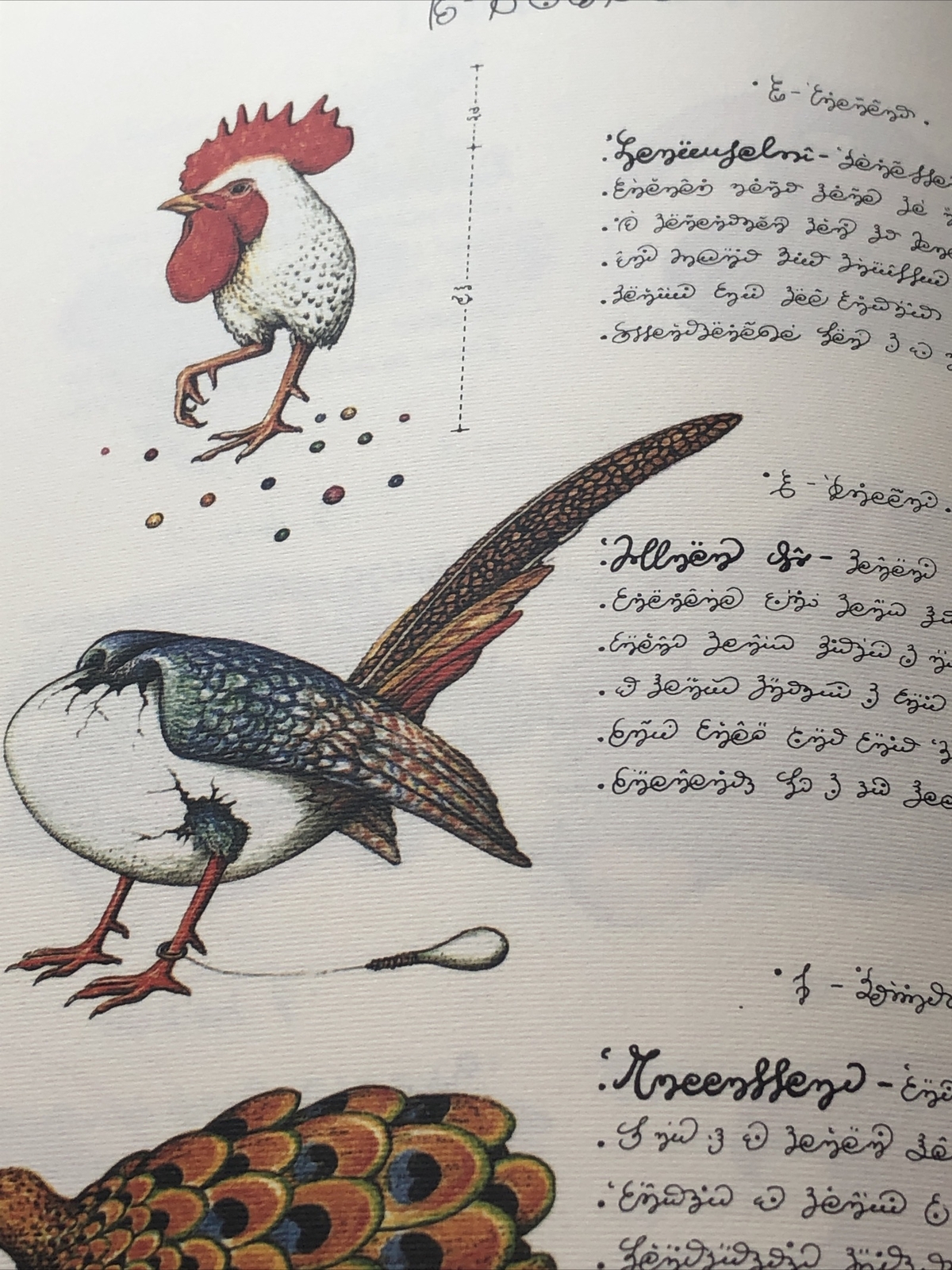 Luigi Serafini Codex Seraphinianus Print 90A 13 Luigi Serafini Codex Seraphinianus Print 90A 13