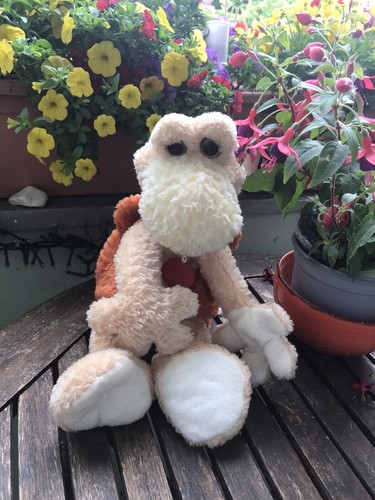 Artikelfoto(s) von einem verifizierten Käufer