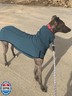 Esobo Fleece Dog Apparel Winter Warm Dog Coat Doggie Turtleneck Cozy Jacket Soft Shirt Vest Stylish Pet Outfits for Small Medium Large Dogs