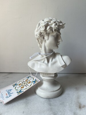 Marble David Bust Michelangelo Renaissance Bust sculpture statue Santini Italy