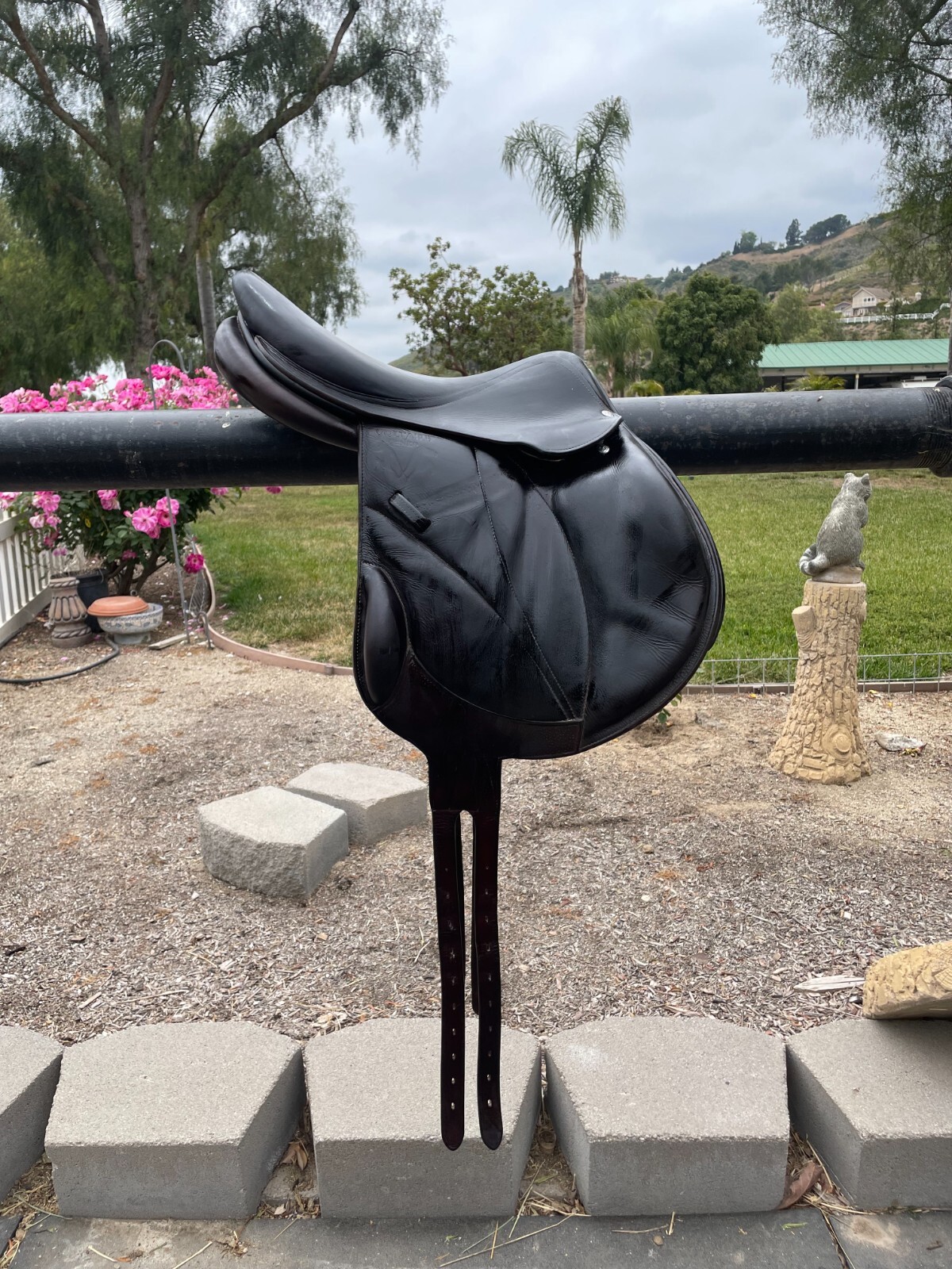 Voltaire Lexington Monoflap Saddle - 17