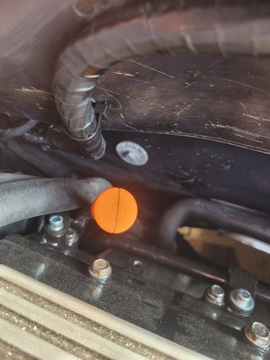 Artikelfoto(s) von einem verifizierten Käufer