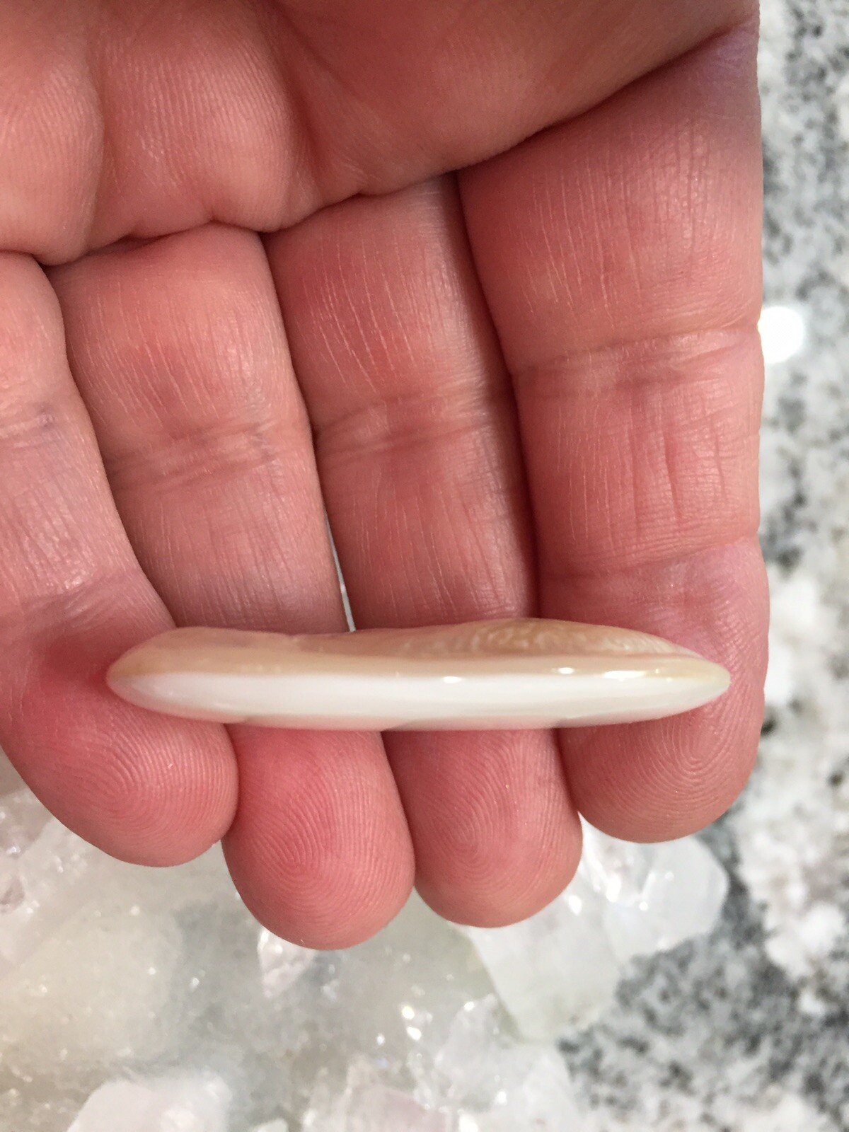 Mother of Pearl Quan Yin Focal Bead