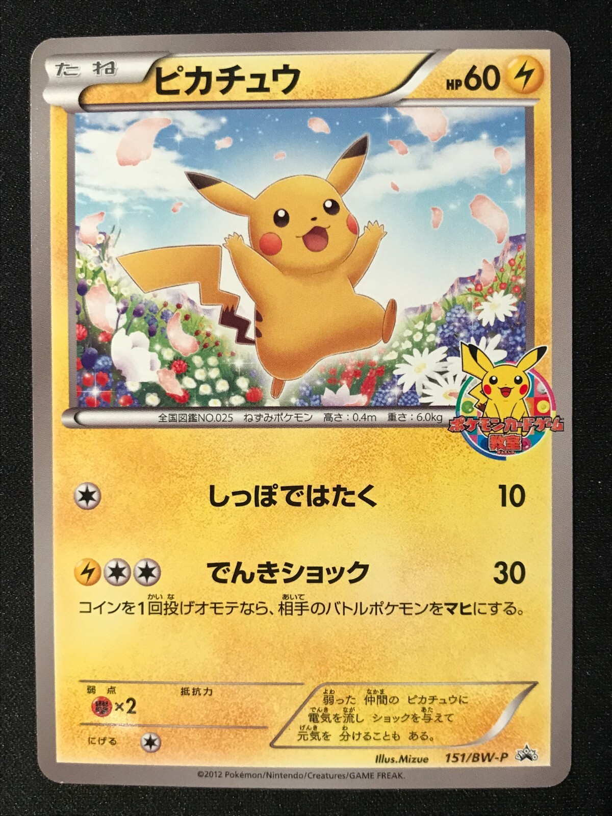 PIKACHU 151/BW-P CLASSROOM PRIZE JAPANESE PROMO POKEMON Card