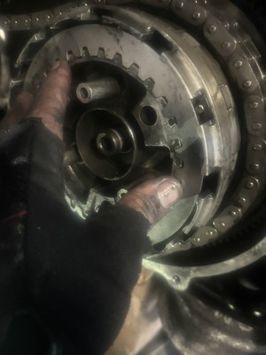 Item photo(s) from verified buyer