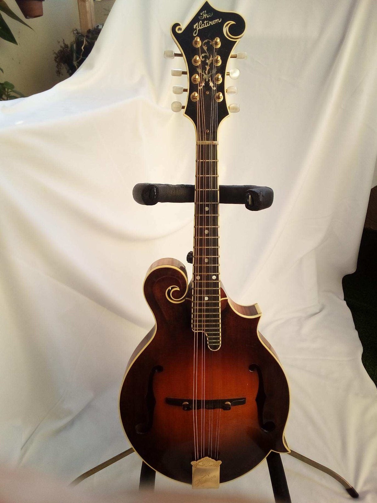 Flatiron F-5 Mandolin
