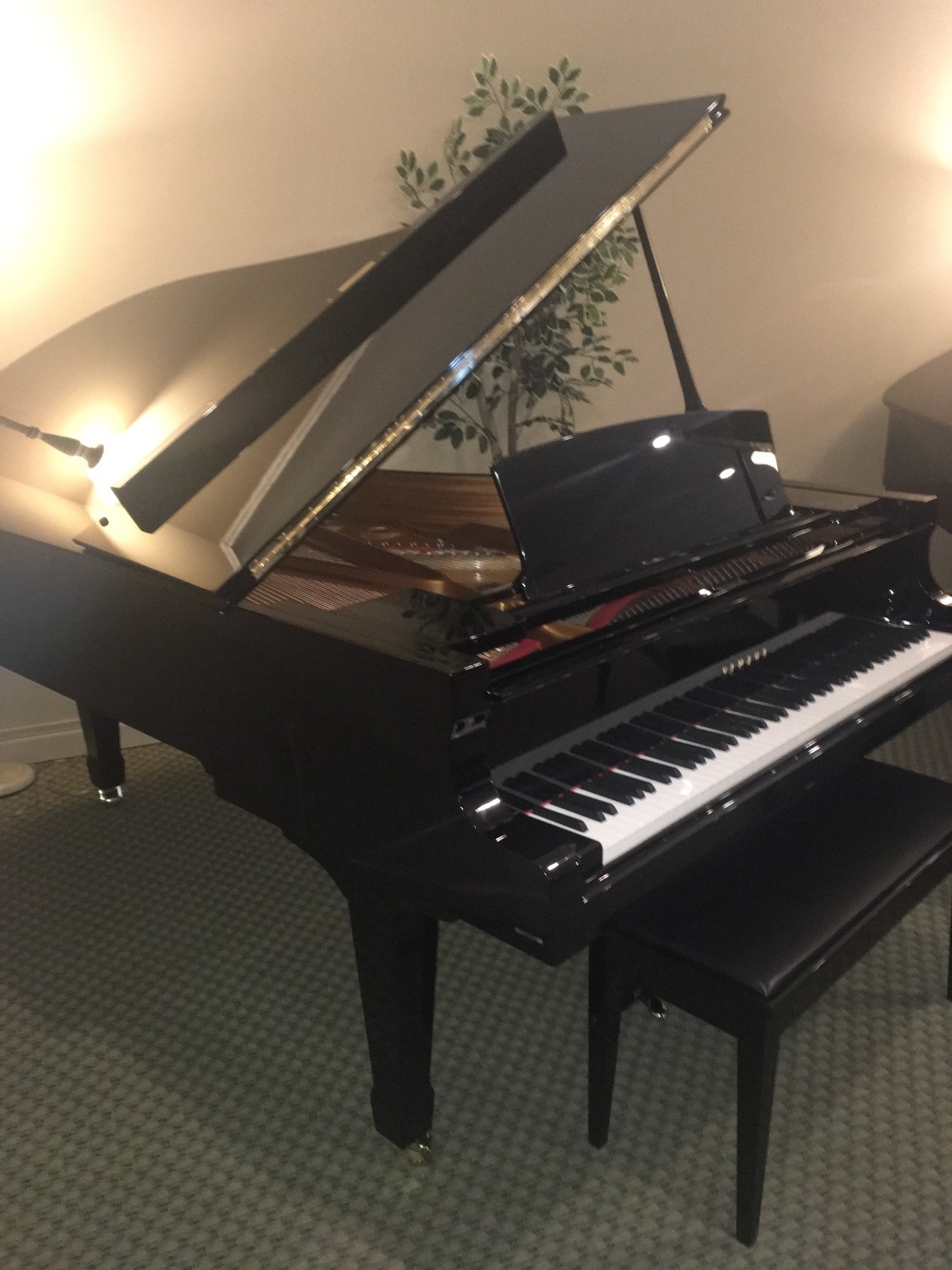 Yamaha C7 Grand Piano Polished Ebony