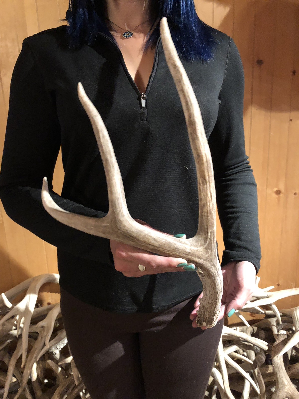 BIG WY 3 POINT MULE DEER SHED ANTLER! Rustic Decor horn craft western