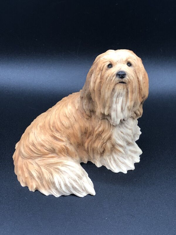 CASTAGNA Made in Italy SIGNED / DOG RARE Lhasa Apso 1997