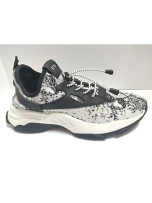 

STEVE MADDEN Женские сине-серые крапчатые стельки со шнурками Myles Slip On Sneakers, Серый, MYLE01S1
