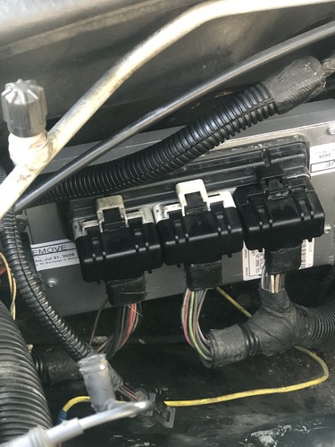 Fotos del artículo de un comprador verificado