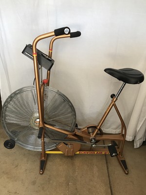 vintage schwinn airdyne