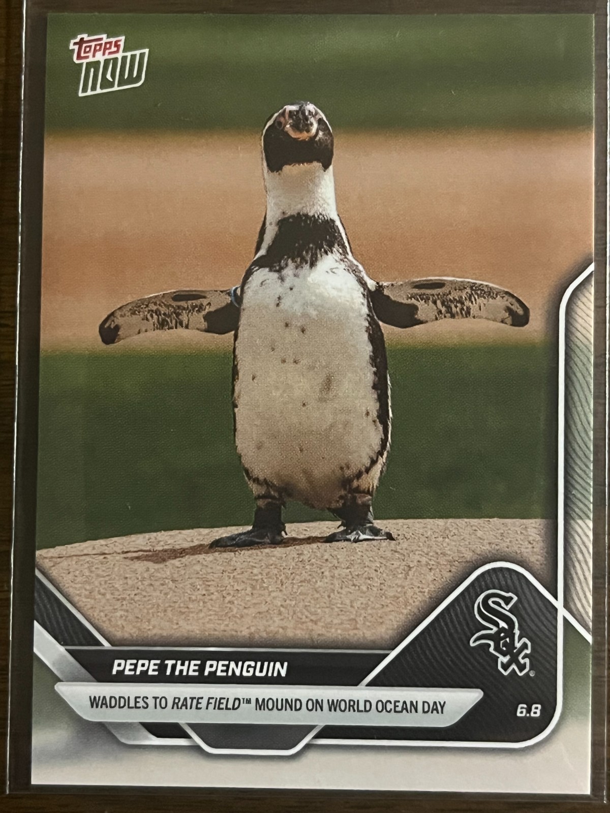 激レア　新品　タグ付き　定価400ドル　Chicago White Sox　L 激レア 新品 タグ付き 定価400ドル Chicago White Sox L