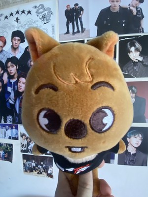 Stray Kids SKZOO Han Quokka Original Ver Plush USED | eBay