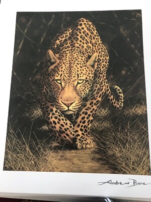 Andrew Bone - African Mystique-seriolithograph