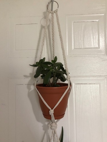 Handmade Macrame Plant Hanger