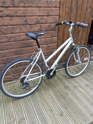 raleigh tundra ladies bike