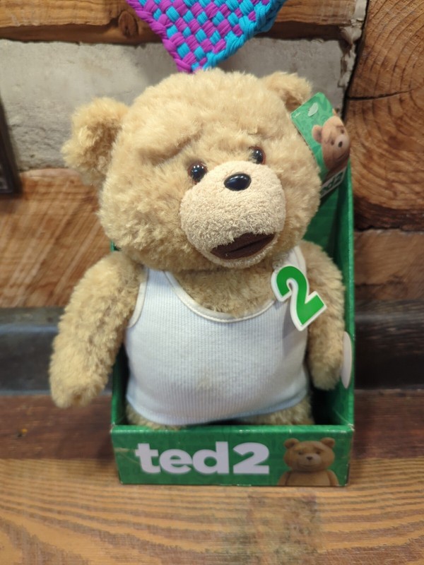 Ted 2 Ted In Undershirt Rated R 11" Talking Plush