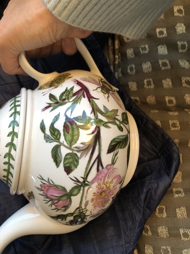 BOTANIC GARDEN Portmeirion Susan Williams-Ellis Bellis 2 Quart Tea Pot New