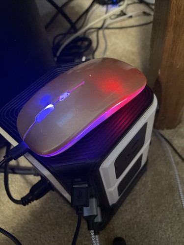 Fotos del artículo de un comprador verificado