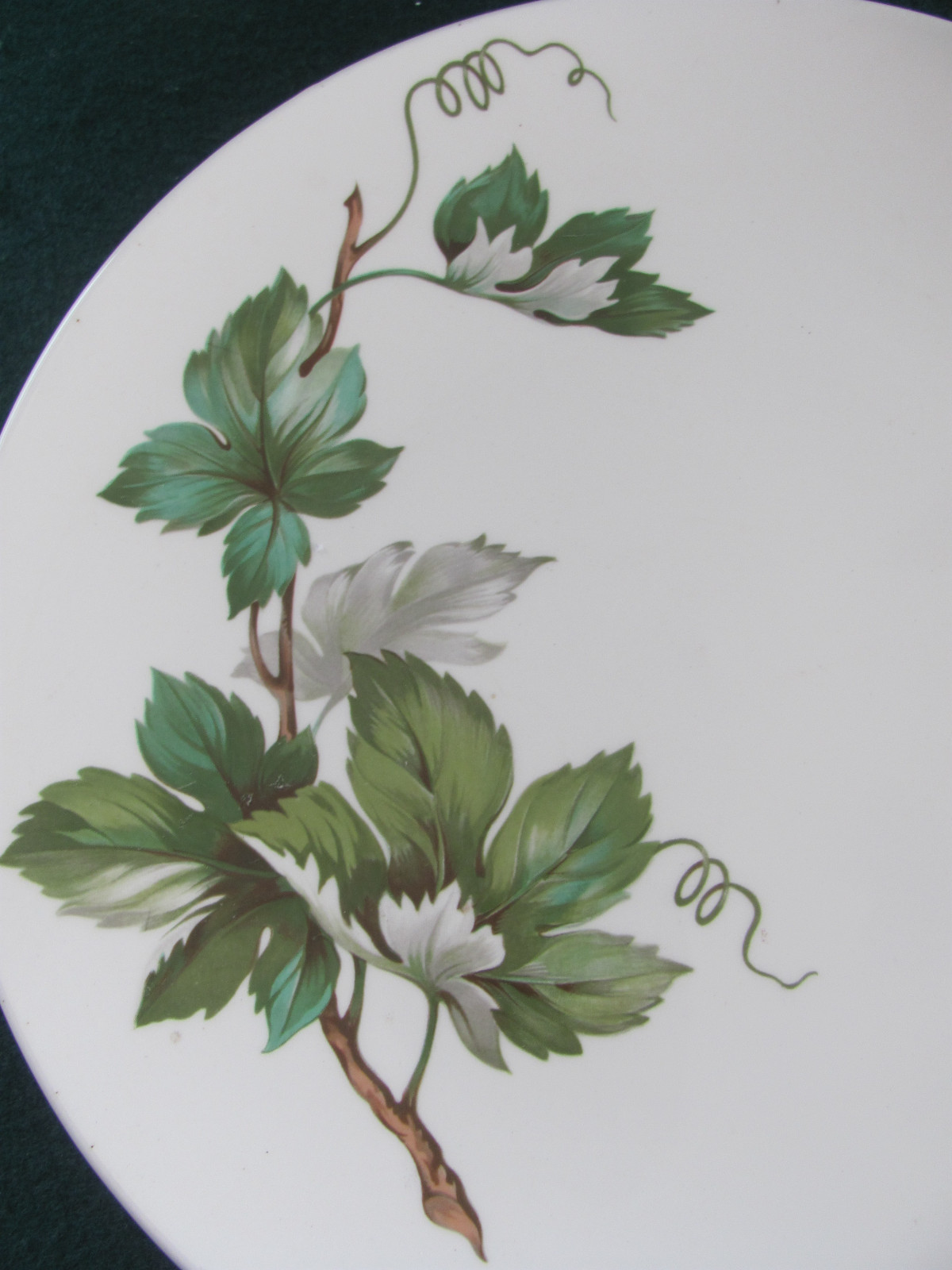 EDWIN KNOWLE'S DINNER PLATE GRAPEVINE PATTERN