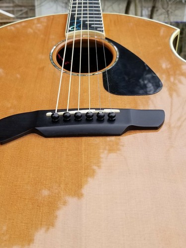 Rare Parker PA-28 Acoustic Electric Guitar
