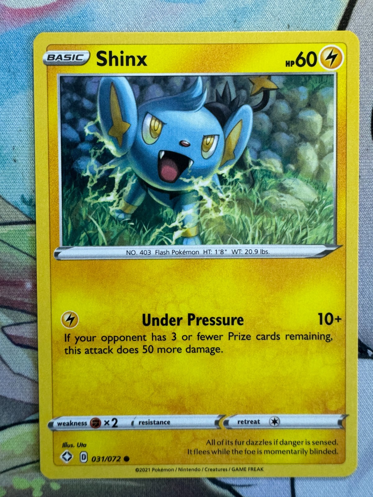 Shinx Non Holo English Pokemon TCG BKI663 | eBay Shinx Non Holo English Pokemon TCG BKI663 | eBay