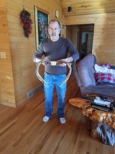 10 Point Antlers On original Skull Near Perfect net score 150 6/8