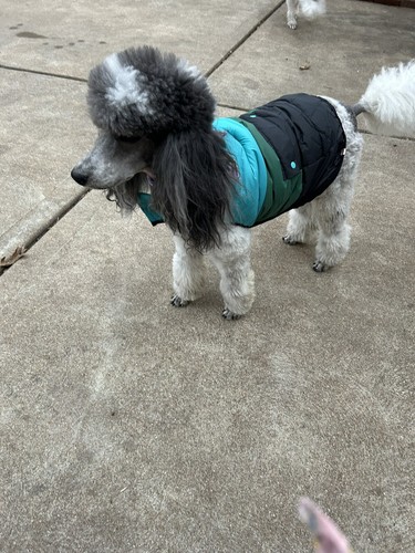 Item photo(s) from verified buyer