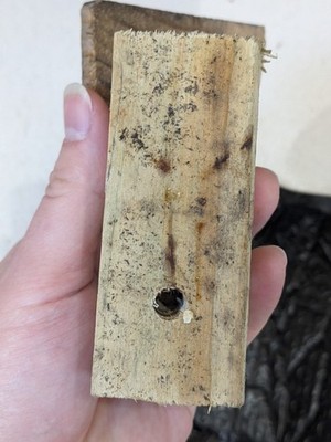 Artikelfoto(s) von einem verifizierten Käufer