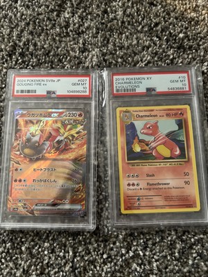PSA 10 ALL GEM MINT Graded Pokemon Card Mystery Slab Bag